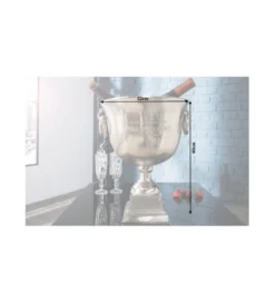 Chłodziarka do szampana Royal 40cm srebrna