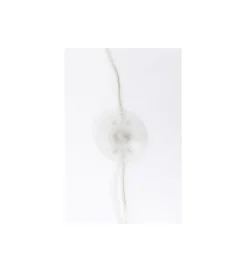 Lampa podłogowa CALOTTA chromowana