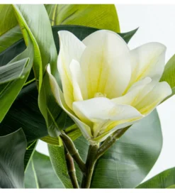 Magnolia sztuczna 100 cm