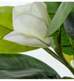 Magnolia sztuczna 100 cm