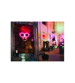 Obraz FANCY RED LADY LED 120 x 80 cm