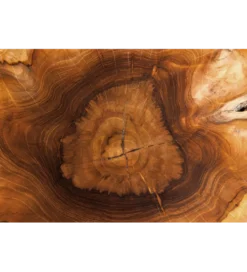Stolik kawowy ROOT 70 cm drewno teak naturalny