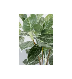 Sztuczna roślina CALATHEA 140 cm