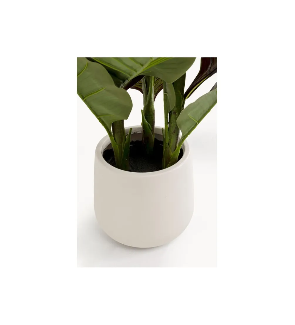 Sztuczna roślina CANNA LILY 165 cm