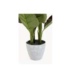 Sztuczna roślina CANNA LILY 115 cm