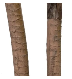 Sztuczna roślina DRACAENA 110 cm