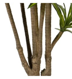 Sztuczna roślina drzewo DRACAENA 200 cm