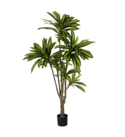 Sztuczna roślina drzewo DRACAENA 200 cm