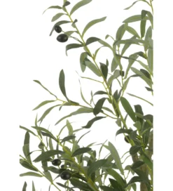 Sztuczna roślina OLIWKA 180 cm