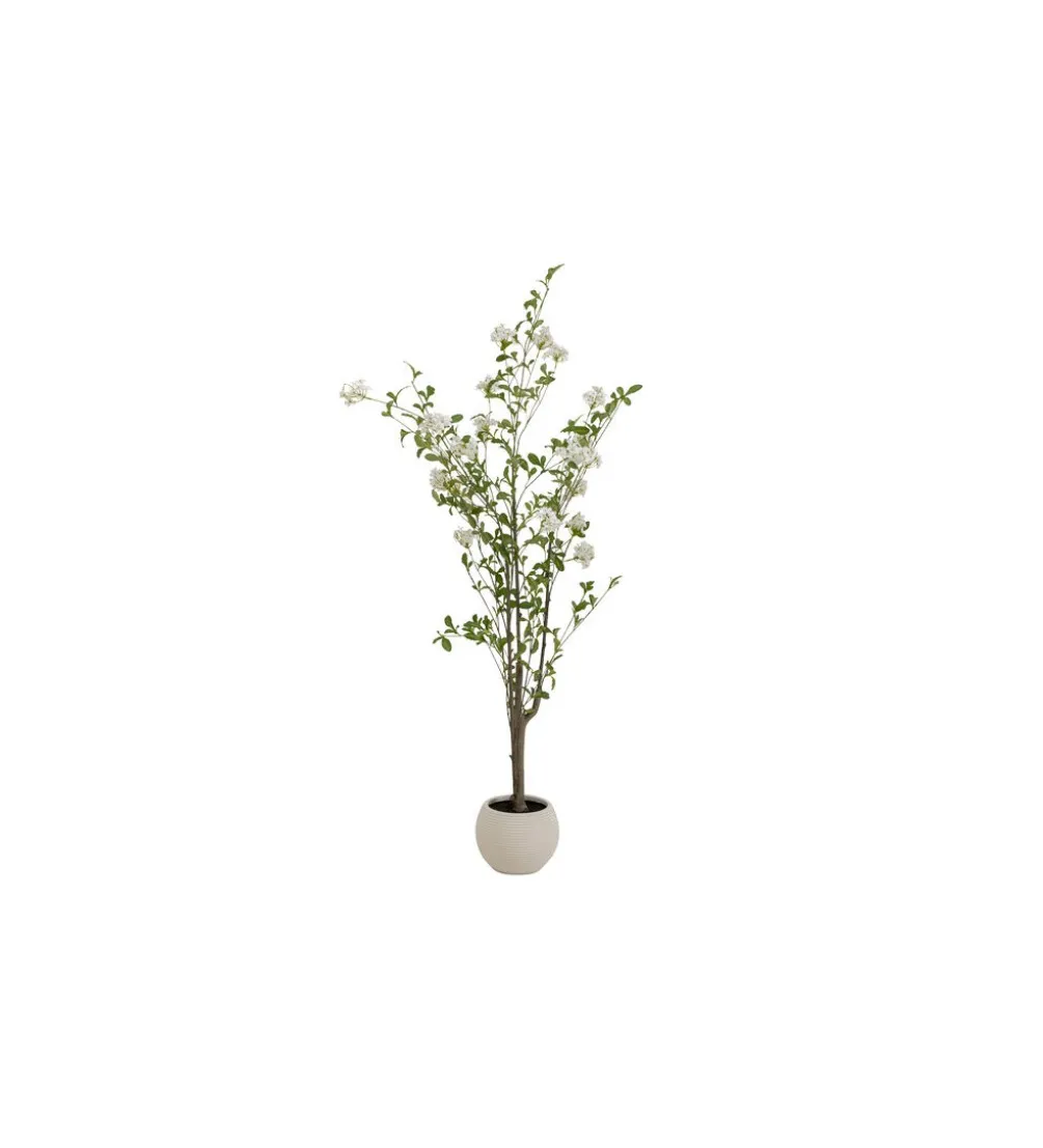 Sztuczna roślina PUMBAGO TREE 152 cm