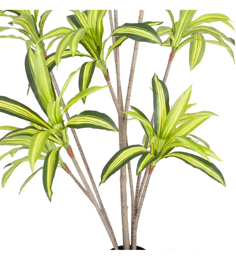 Sztuczna roślina DRACENA 210 cm
