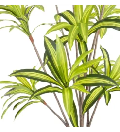 Sztuczna roślina DRACENA 210 cm