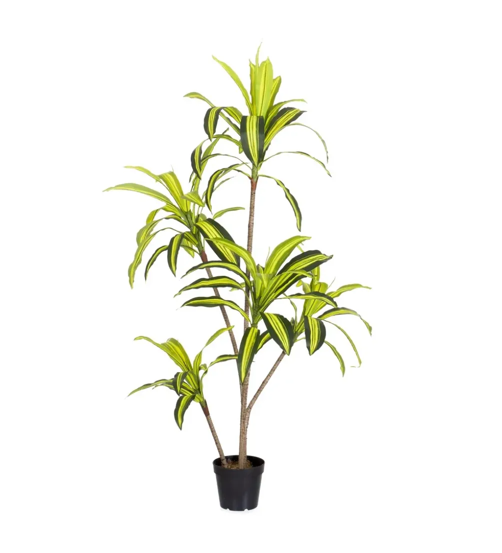 Sztuczna roślina DRACENA 150 cm