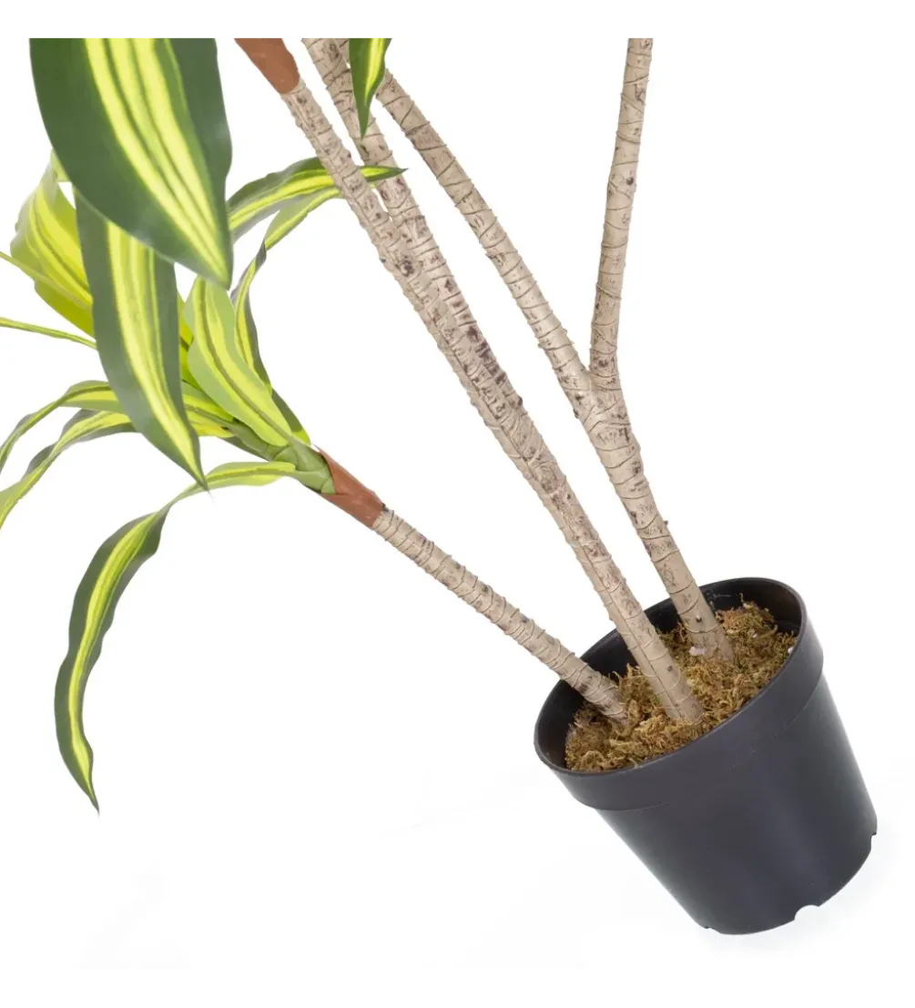 Sztuczna roślina DRACENA 150 cm