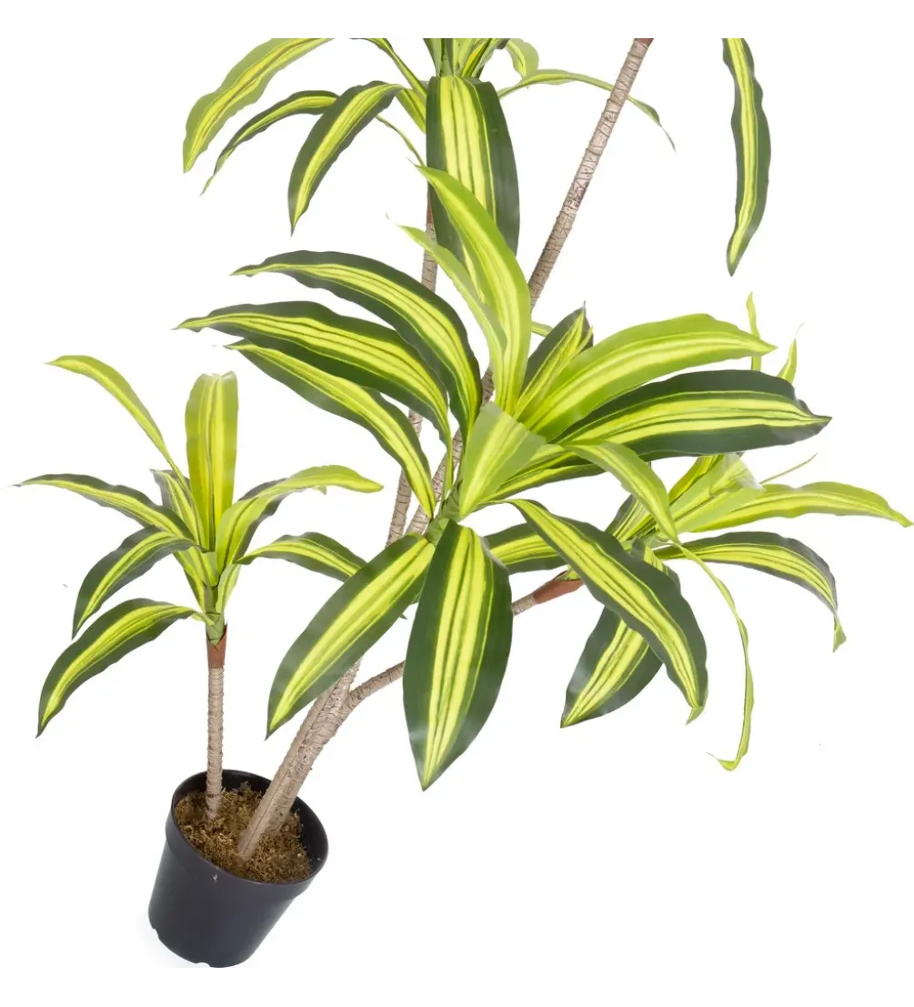 Sztuczna roślina DRACENA 150 cm