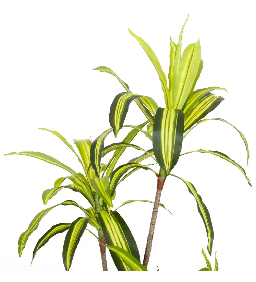Sztuczna roślina DRACENA 150 cm