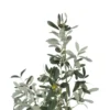 Sztuczna roślina OLIWKA 112 cm