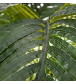 Sztuczna roślina PALMERA 170 cm