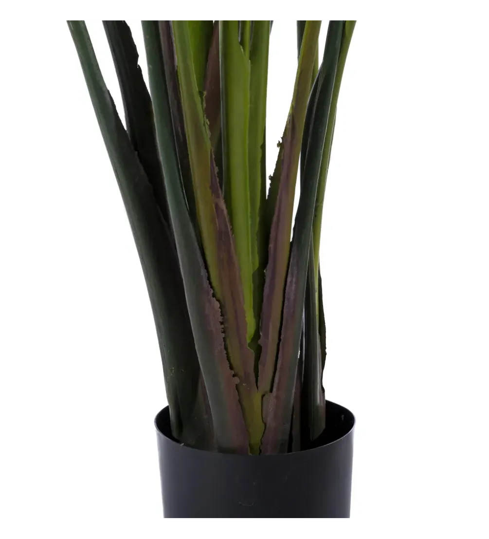 Sztuczna roślina PARAISO 245 cm